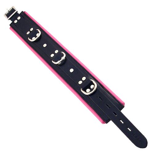 Black And Pink Padded Collar