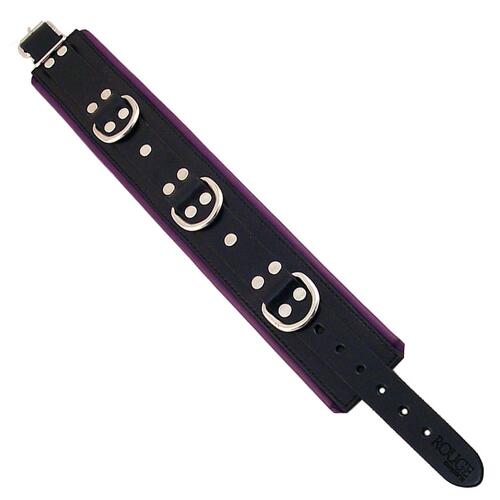 Black And Purple Padded Collar