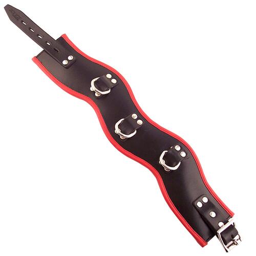 Black And Red Padded Posture Collar