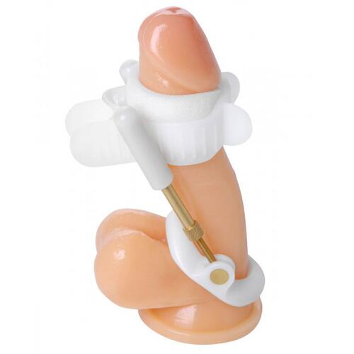 Deluxe Penile Aid System