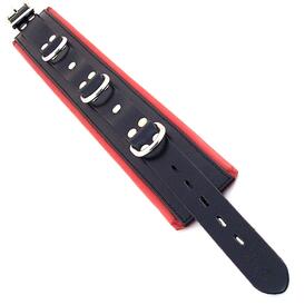 Black And Red Padded Collar