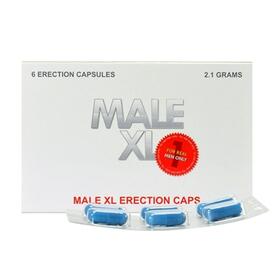Male XL Erection Erection Pills